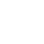 SNP The Transformation Company