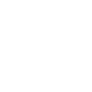 Forest skis wht300px